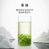 Весенний чай находится на рынке Wenxin xyneang Maojian Tea Leaf Green Tea 2025 Новый чай предварительно нежные ростки и листья Zhenwei Tea Can 50G