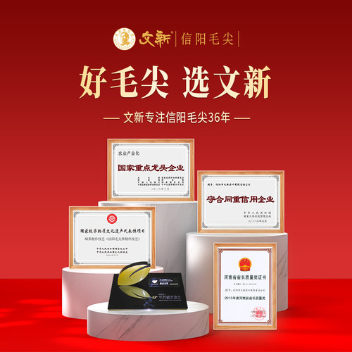 春茶上市文新信阳毛尖绿茶2026新茶茶叶特级品道60g*4罐送礼盒 - 图3