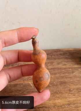 一物一图精品花皮文玩葫芦迷你小号蚂蚁瓶子可DIY手串项链草里金