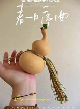 一物一图手拿八宝手把葫芦文玩礼物天然葫芦摆件花叶病全品三七肚