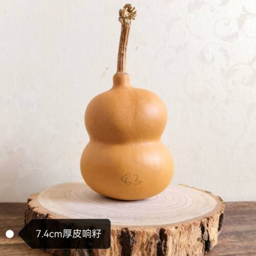 一物一图八宝钱袋子葫芦文玩葫芦家居摆件盘玩异形嘞扎葫芦 - 图3