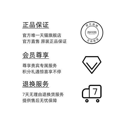 西村名物2025秋冬新款复古女英伦风洋气高级厚底真皮马丁靴短靴 - 图3