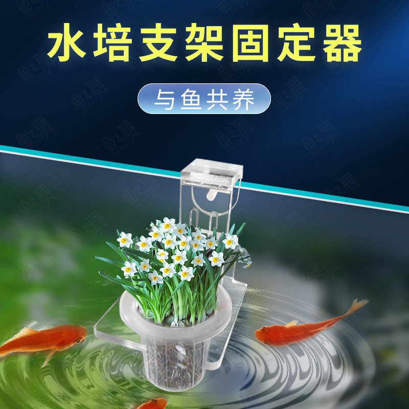 鱼缸壁挂水培植物支架定植篮水草杯造景绿植盆栽水生种绿萝红薯苗 - 图0