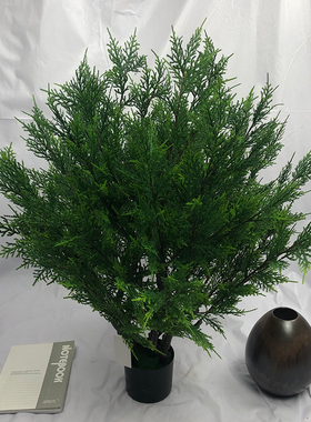 仿真植物盆栽柏树工程造景