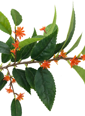 新品仿真单枝丹桂花叶树木樨月桂四季桂花绢花迷你小盆栽装饰摆设
