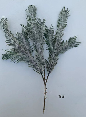 仿真树叶热带植物平面三叉枝红豆杉带雪赤柏松配件装饰厂直销花园