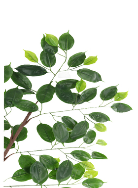 新品仿真植物大梅枝香樟树叶灌木