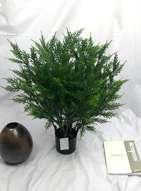 仿真植物盆栽柏树装饰