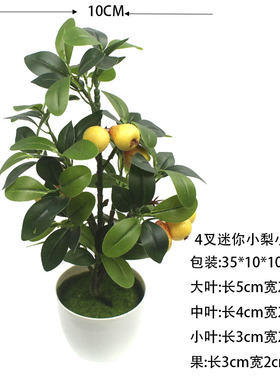 祥瑞松枝定制厂家直销
