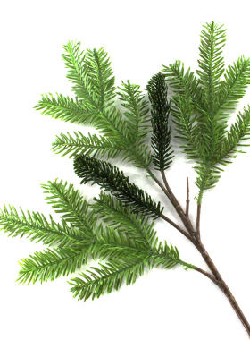 仿真植物五叉冷杉云杉水杉落叶松