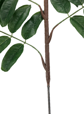 新品仿真植物核桃叶7叉枝香樟树叶灌木叶杜鹃叶四季绿植装饰直销