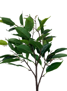 新品仿真植物大梅枝香樟树叶灌木