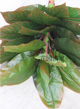 仿真植物假树叶盆栽象腿蕉叶子1米落地美人叶树盆景工程装饰直销