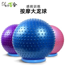 Ha Woo Yoga Balls Massage Balls Fitness Balls Explosion Protection Thickened Children Environmental Great Dragon Ball Baby Sensation Training