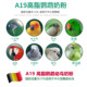 Parrot large milk powder A19 Belgian Versailles