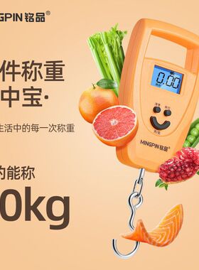 利器弹簧秤家用便携手提吊钩铭品