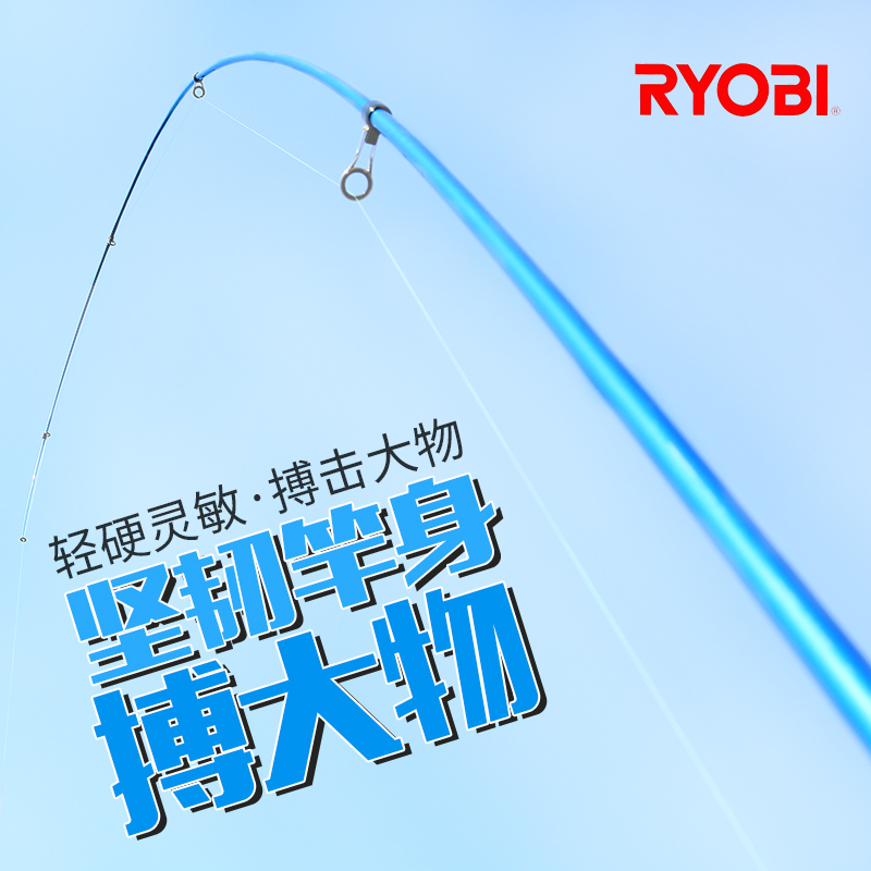 日本利优比 海极 3.9远投竿4.2米海杆抛竿超硬碳钓鱼竿海钓竿甩杆 - 图2