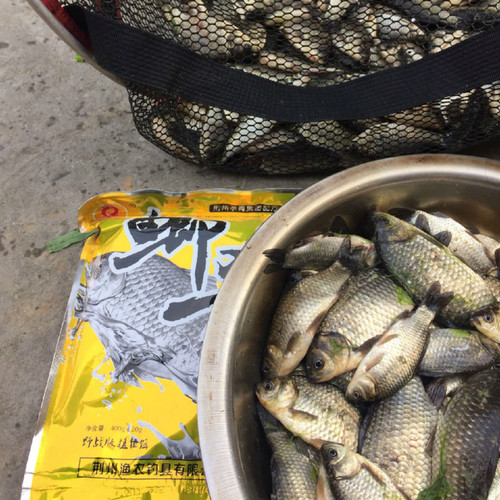 渔农青草鲤鳊鲫通杀鱼饵巨物大青黑坑水库野战湖泊钓鱼饵满就包邮 - 图0
