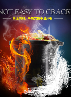 电炖煲飞鹿陶瓷煲汤煲粥炖汤煲