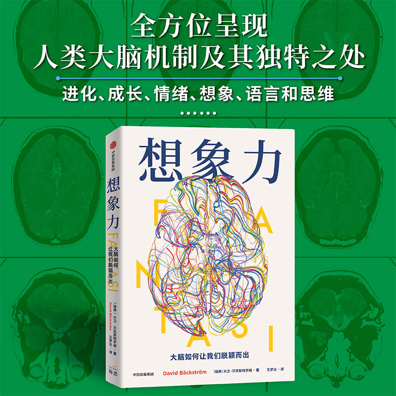 想象力 大脑如何让我们脱颖而出 大卫贝克斯特罗姆著 与其说我们是智人 不如说我们是幻人 精于想象和幻想的人 中信出版 - 图2