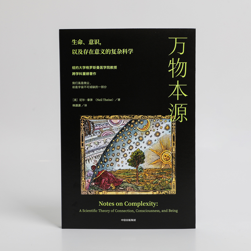 万物本源 改变你理解自己和世界方式 更松弛乐观心态融入生活 尼尔泰斯著 英文版好评如潮 美国亚马逊分形数学榜第1混沌科学榜第2 - 图2