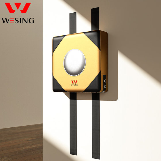 Jiurishan boxing wall target shooting target boxing gloves training target