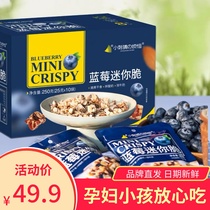 Small Hedgehogs Troubles Daily Nut Blueberry Mini Crisp Nutrition Breakfast Pregnant Woman Snack Low Sugar Batan Wood Crisp