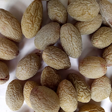 Fujian Minhou Specialty Half -Ssale, соленая оливковая свежая производство мариновано оливковая закуска 500G