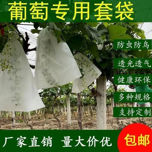 水果套袋防鸟通用袋瓜果防虫专用袋无花果枇杷葡萄桃子草莓育苗袋 - 图2