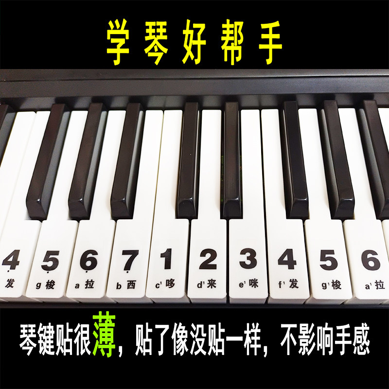49键54键61键中文自学儿童成人电子琴手卷琴大字音标贴简谱键位贴,淘宝优惠券,粉丝福利购,淘宝优惠卷