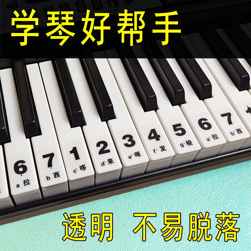 49键54键61键中文自学儿童成人电子琴手卷琴大字音标贴简谱键位贴,淘宝优惠券,粉丝福利购,淘宝优惠卷