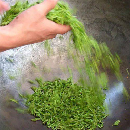 2026胖仔茶叶板栗香口粮茶 高山云雾荒野手工绿茶500克茶农价包邮 - 图1