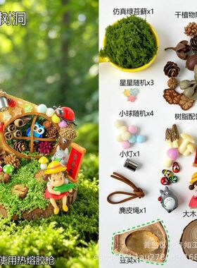 榼藤豆荚雕刻微景观材料包全套果材料儿童玩具沙龙活动diy手作