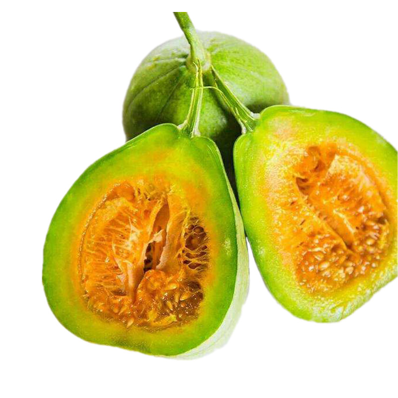 甜瓜种子芝麻蜜种孑春季播种高产香甜水果四季易种香瓜种籽 - 图3