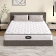 Silent stainless steel spring coconut palm soft and hard thick mattress
