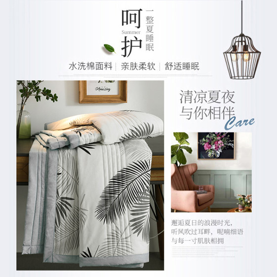 Summer Cool Quilt Air Conditioned Quilt 2023 New Summer Quilt Core Spring Autumn Quilt Summer Quilt Machine Washable Non-Pure Cotton Full Cotton Comfortable