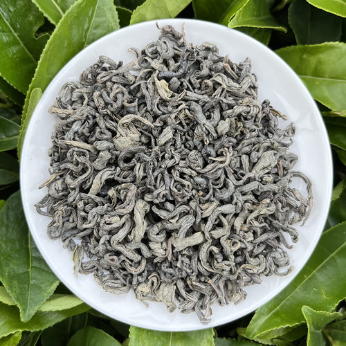 揭西大洋炒茶揭阳高山炒茶梅占绿茶大洋炒茶浓香回甘潮汕茶叶-图0