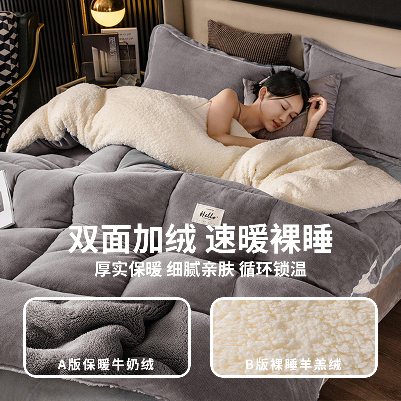 羊羔绒被子冬被加厚保暖棉被芯宿舍单人学生冬天2025新款冬季10斤 - 图0