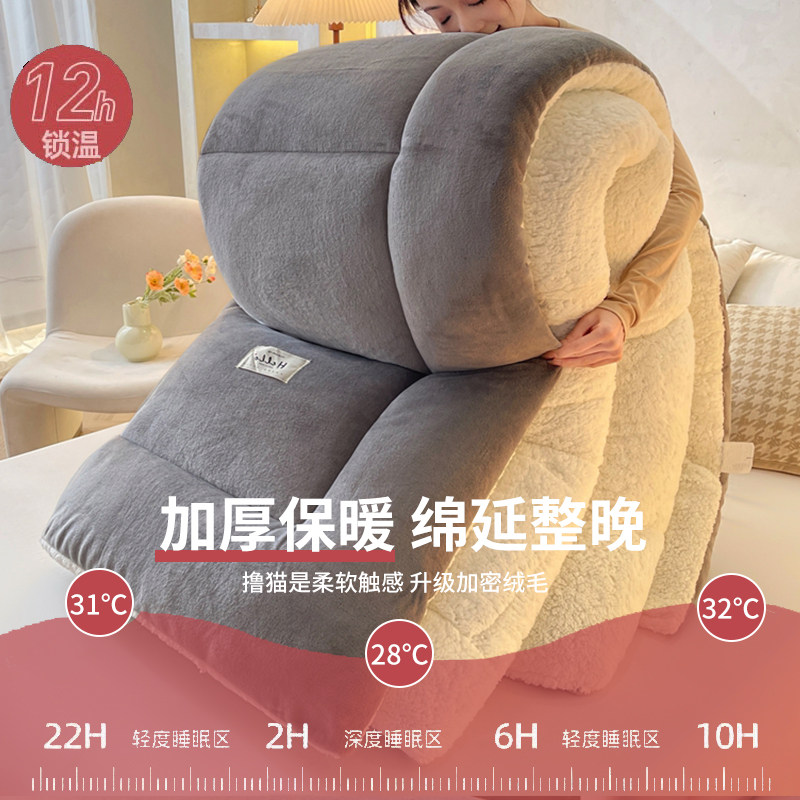 羊羔绒被子2025新款冬季棉被被芯冬天单人宿舍秋冬被加厚保暖10斤,淘宝优惠券,粉丝福利购,淘宝优惠卷