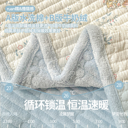 加厚牛奶绒夹棉床单单件2026新款冬季单人被单加绒床垫褥毛毯床盖 - 图0