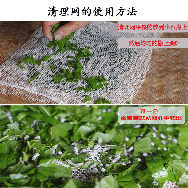 结茧网蚕宝宝吐丝结茧专用整张大网小网-图2