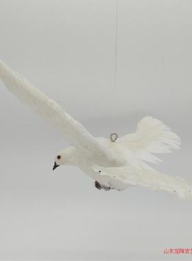 仿真和平鸽动物教学模型创意装饰