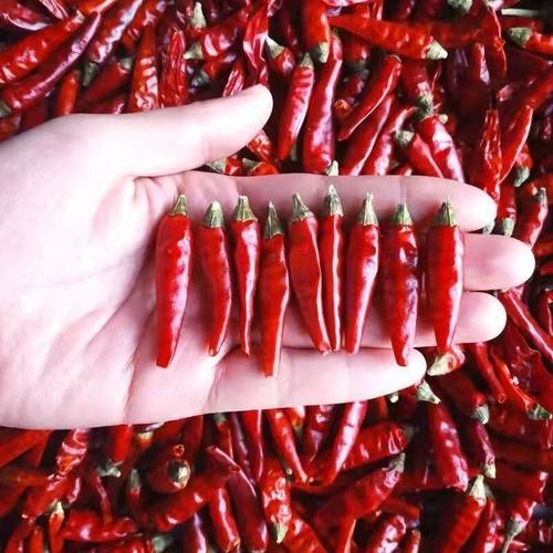 香辣朝天椒小米椒魔鬼椒干辣椒超辣红辣椒段辣椒面 - 图1