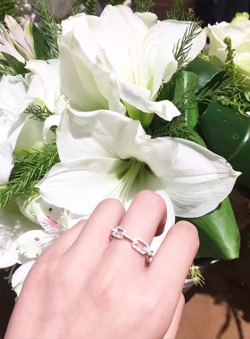 设计师款原创百搭饰品链条戒指