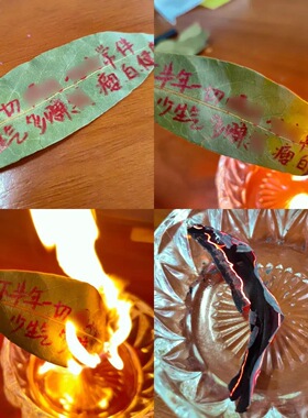【师傅推荐】正版精品月桂叶显化香守护香叶片纯享版家用香薰招财