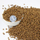 Hongda granular carp, ຫຍ້າ carp ແລະ crucian carp ລ້ຽງປາປະສົມ