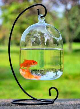 创意悬挂玻璃花瓶水培玻璃工艺品
