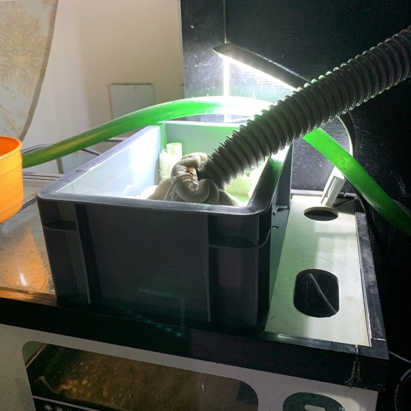 鱼缸底滤干湿分离盒中间层自制过滤盒上滤周转箱滴流箱底部打孔,淘宝优惠券,粉丝福利购,淘宝优惠卷