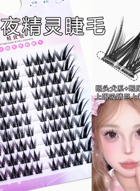 精致妞暗夜精灵落尾漫画睫
