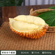 Han Xuan Miao Yi simulated fruit durian shooting props